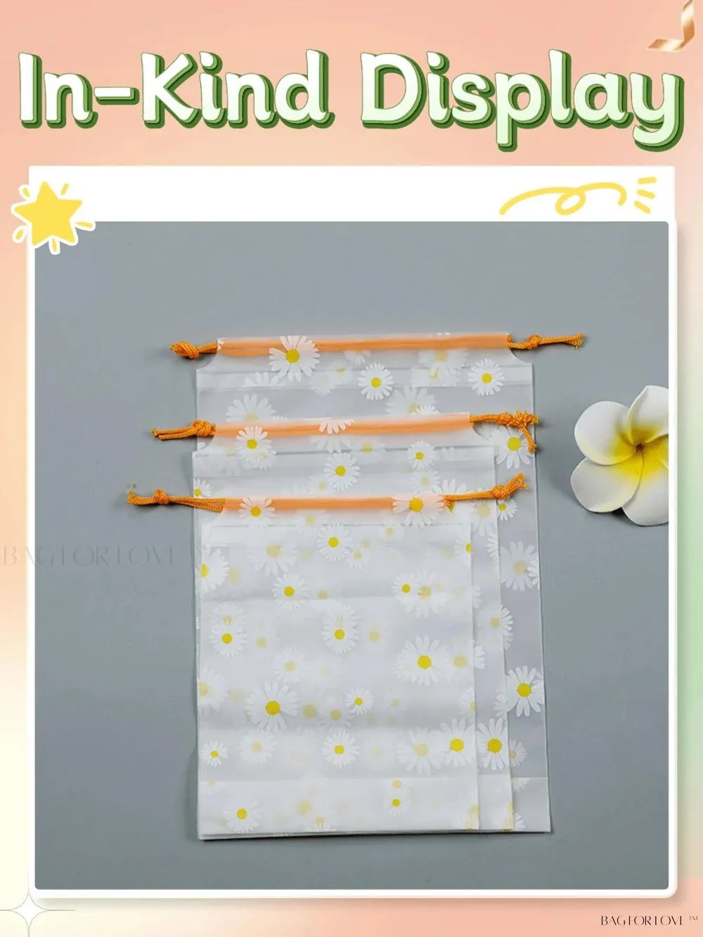 BagForLove - Transparent Waterproof Pouches for Storing Small Items