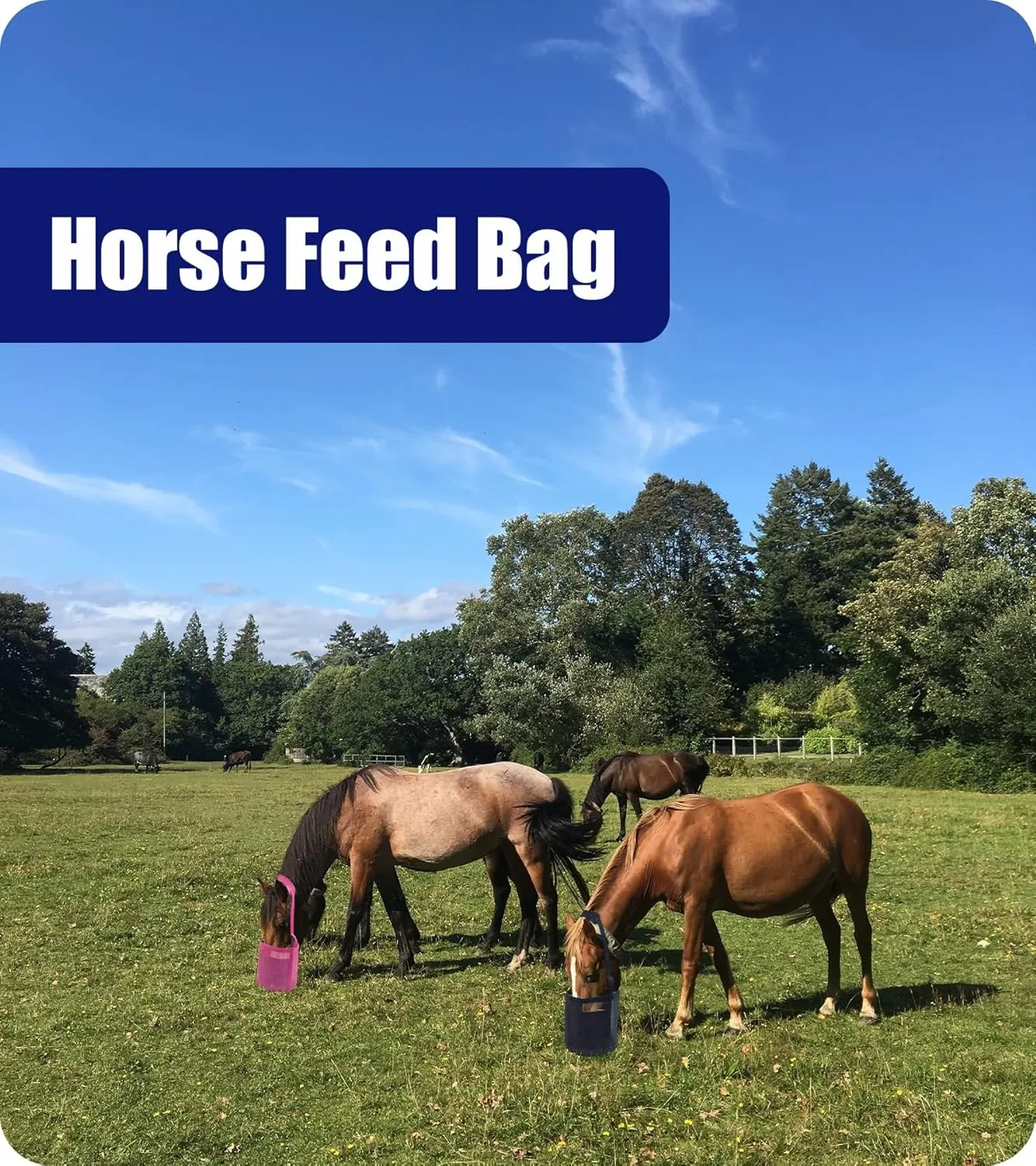 Horse Feed Bag for Grain - Heavy Duty Mesh Horse Feeder with Adjustable Strap,Comfort Neck Pad,Nose Pad and Waterproof Bottom Horse Muzzle Feed Bag(Medium,Pink)