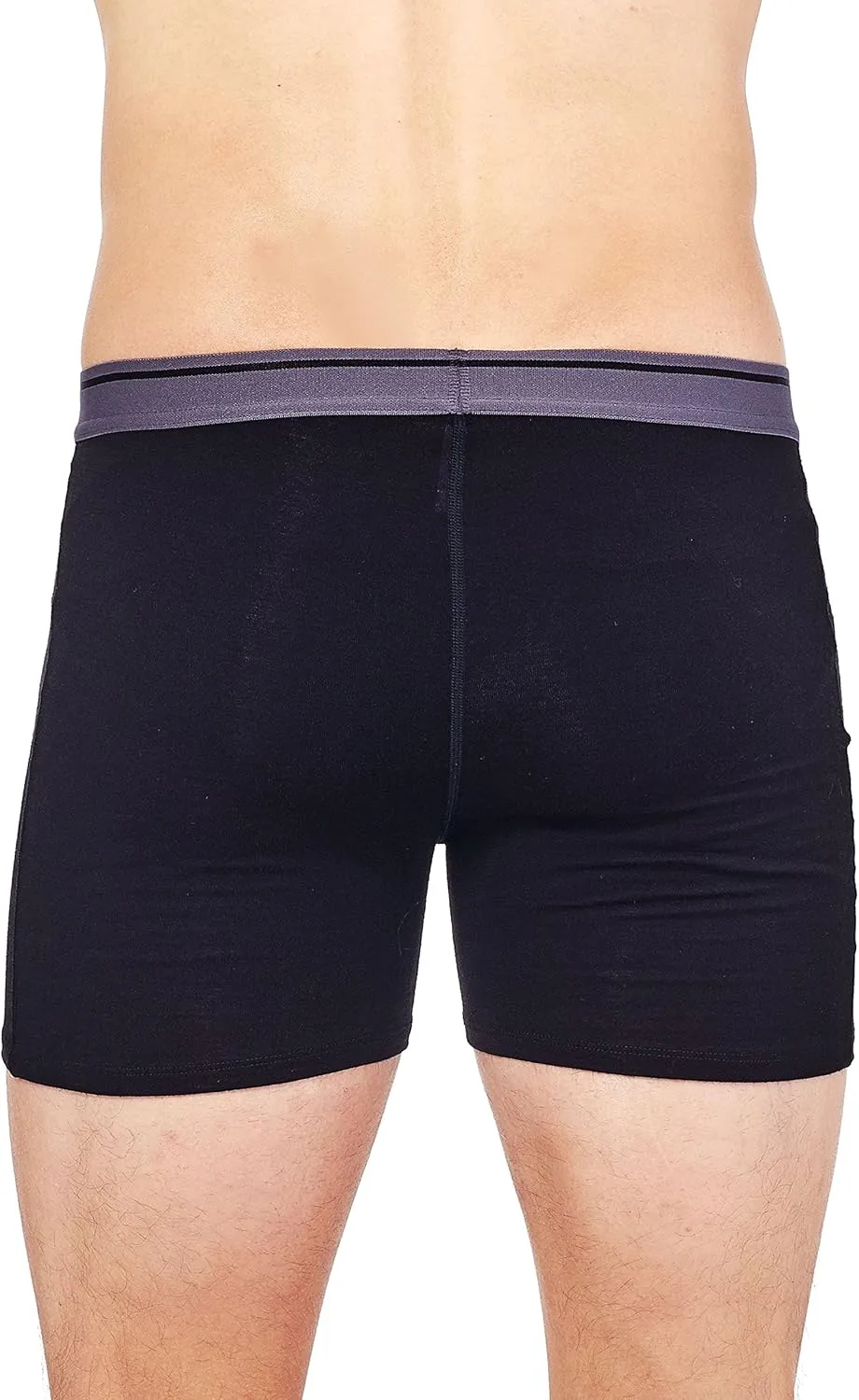 Icebreaker Merino Men's Anatomica Boxer with Fly, Underwear
