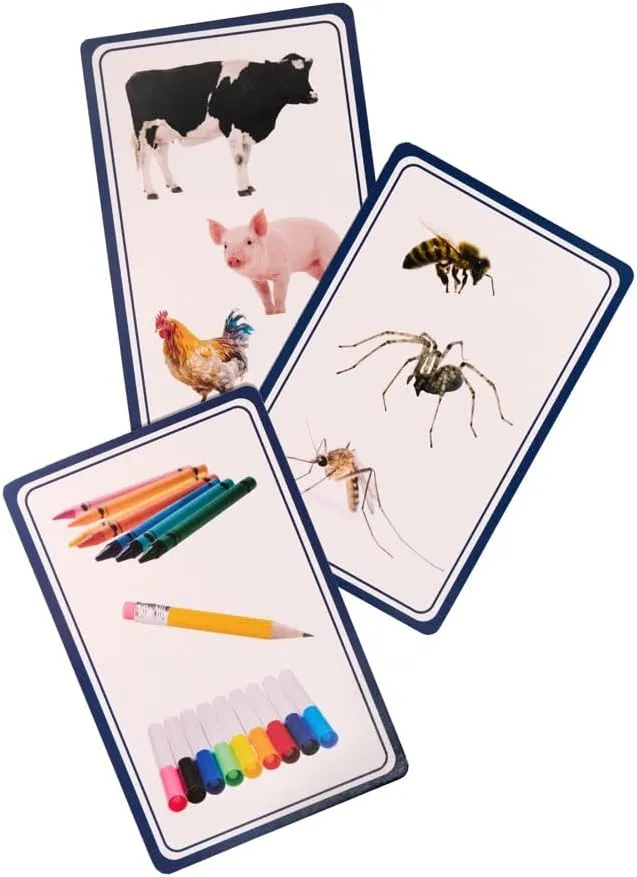 Kids Categorization Card Game – Educational Learning Game for Speech, Reasoning & Problem Solving – Fun Travel Activity for Preschoolers – Develop Verbal & Cognitive Skills