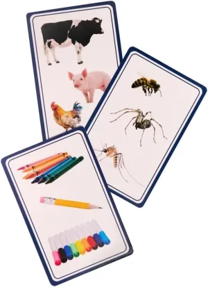 Kids Categorization Card Game – Educational Learning Game for Speech, Reasoning & Problem Solving – Fun Travel Activity for Preschoolers – Develop Verbal & Cognitive Skills