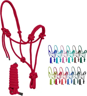 Resistance Plain Nylon Adjustable Rope Halter With Matching 6Ft Lead