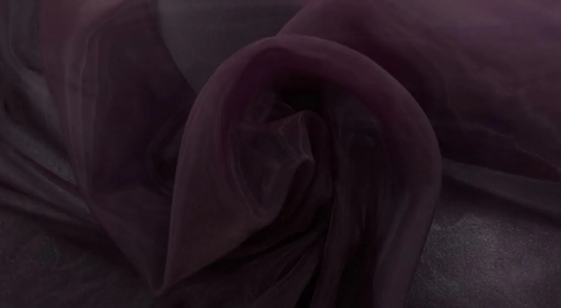Shiny Organza Plum