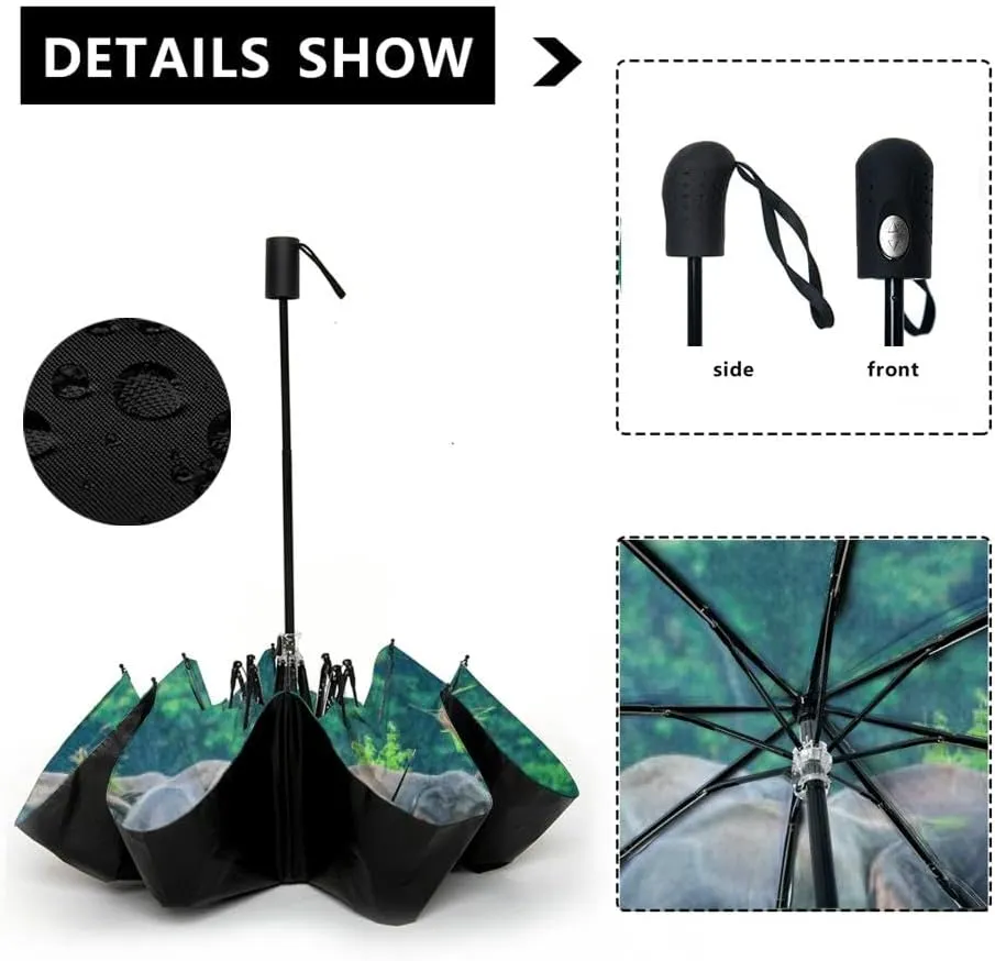 Travel Umbrella for Rain Windproof Scenic landscape sunset an two trees at summer evening Automatic Cute Portable Compact Umbrella for Women Purse Backpack Car Black Sun UV Protection